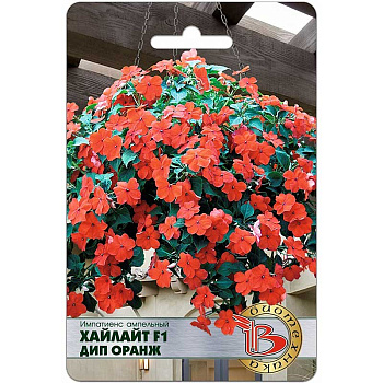 Импатиенс Хайлайт Дип Оранж Биотехника Ц 