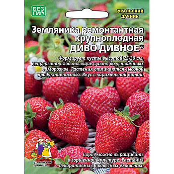 Земляника Диво дивное Марс Ц Земляника Диво дивное Марс Ц
