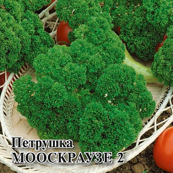Семена Петрушка кудрявая  Мооскраузе 2 100г  Фермер Гавриш