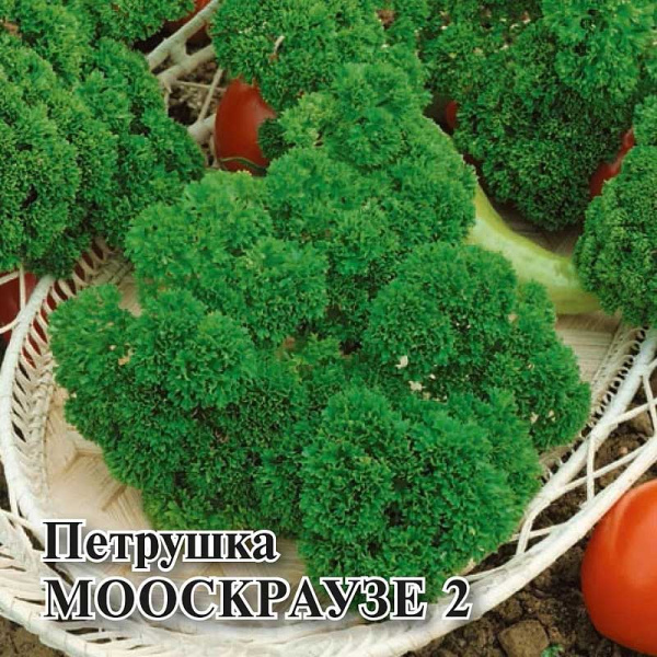 Семена Петрушка кудрявая  Мооскраузе 2 100г  Фермер Гавриш
