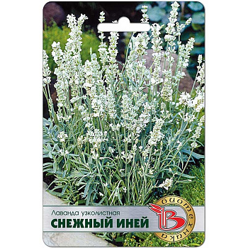 Лаванда Снежный иней Биотехника Ц