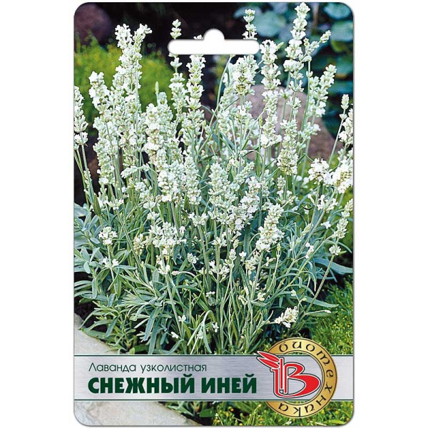 Лаванда Снежный иней Биотехника Ц