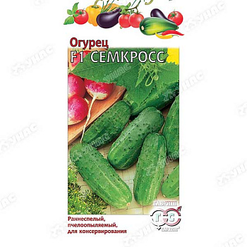 Огурец Семкросс Гавриш Ц