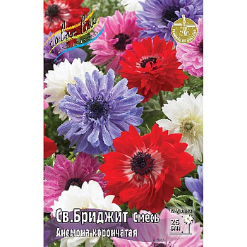 Анемона Св.бриджит, Смесь 5/6 10 шт
