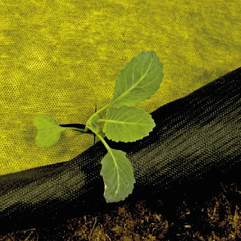 Укрывной материал Агротекс РУЛОН (80-1,6х50м)Жёлто-черный