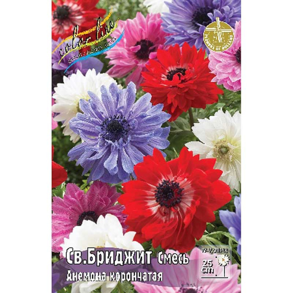 Анемона Св.бриджит, Смесь 5/6 10 шт