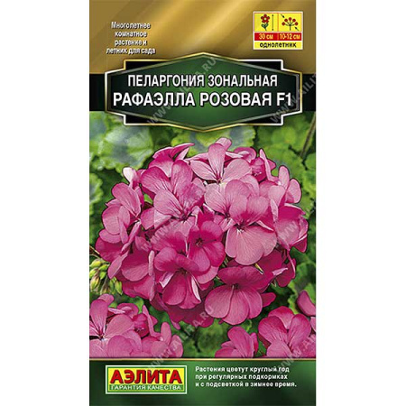 КОМ Пеларгония Рафаэлла розовая Аэлита Ц 