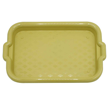 Поднос 40*27*2 см RE-249
