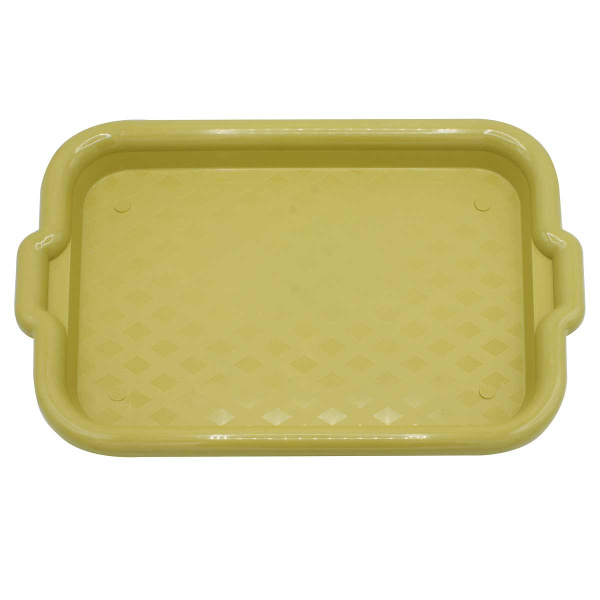 Поднос 40*27*2 см RE-249