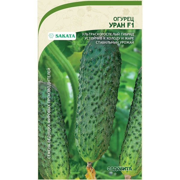 Огурец Уран F1 5шт Sakata/Садовита Ц