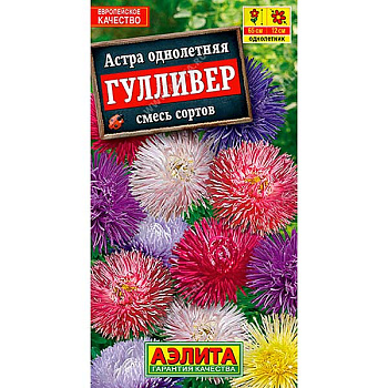 Астра Гулливер Аэлита Ц 