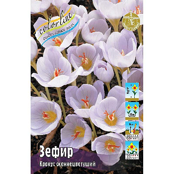 Крокус Зефир 5/+ 8 шт