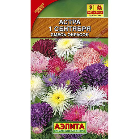 Астра 1-ое сентября, смесь Аэлита Ц 