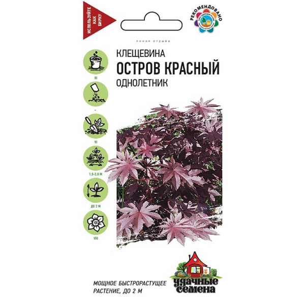 Клещевина Остров Красный Удач.сем. Гавриш Ц 