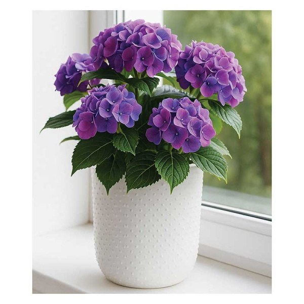 Кашпо БАБЛ 235мм 4л со вставкой белый М3253 х3 