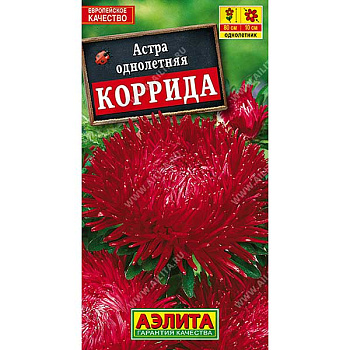Астра Коррида коготковая Аэлита Ц 