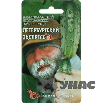 Огурец Петербургский экспресс БиоТехника Ц