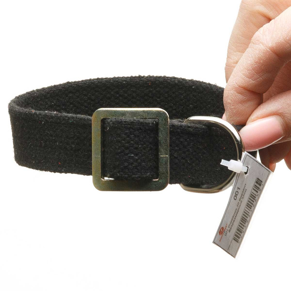 Ошейник брезент ширина 20 мм безразмерный 45 см