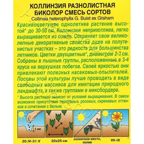 Коллинзия Биколор смесь Аэлита 