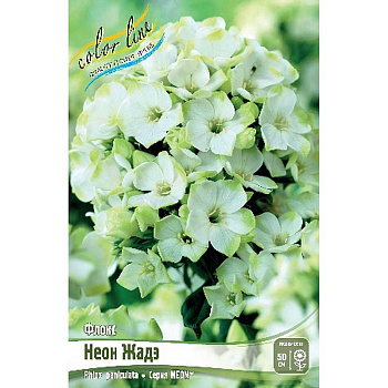 8105 Биг-Пак Флокс Neon® Жадэ I 25 шт