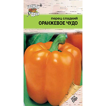 Перец Оранжевое чудо Урожай у дачи Ц