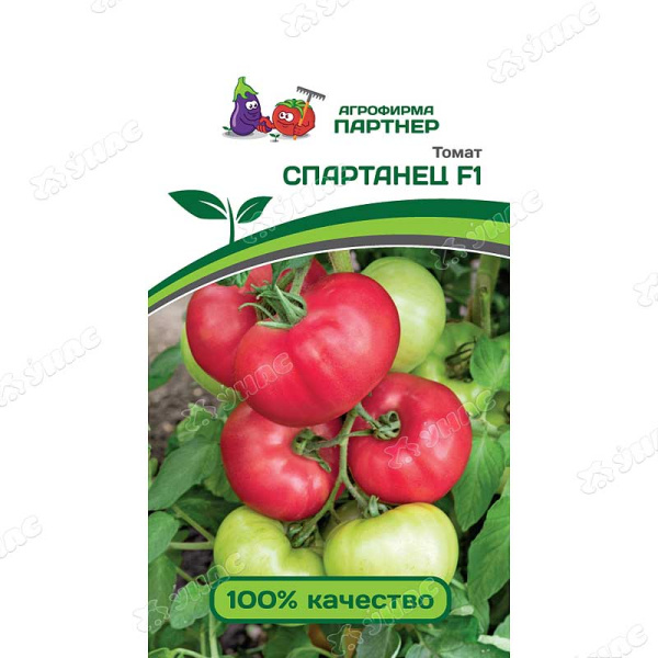 Семена Томат Спартанец Партнер