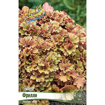 Гейхера Фрилли I 25 шт Биг-Пак 14567 