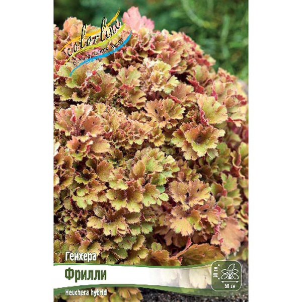 Гейхера Фрилли I 25 шт Биг-Пак 14567 