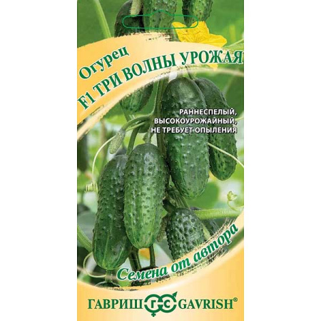 Семена Огурец Три волны урожая Гавриш Ц x10