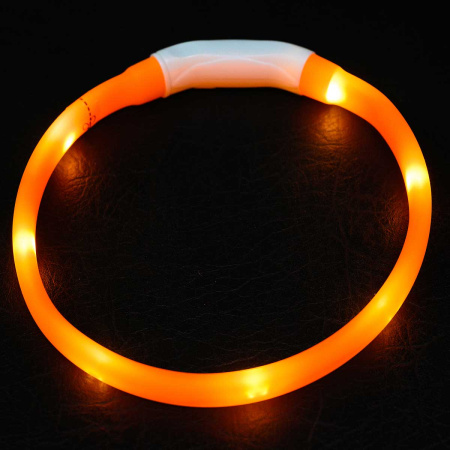 Ошейник 40*1,5см свет-я 3реж. микс USB NA2614 (144