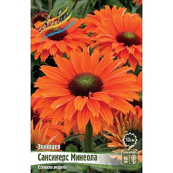 6315 Биг-Пак Эхинацея Сансикерс Минеола I 25 шт 