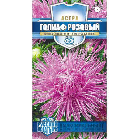 Астра Голиаф розовый Гавриш Ц 