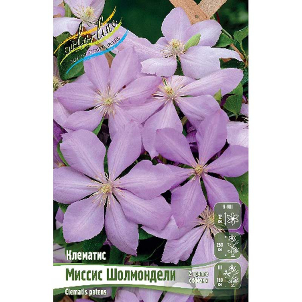 Клематис Миссис Шолмондели I 2 шт