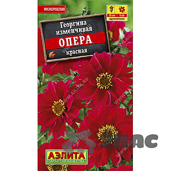 Георгин Опера Красный махров Аэлита Ц 