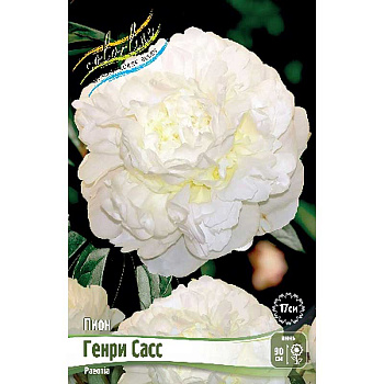 Пион Генри Сасс 2/3 n 15 шт Биг-Пак 14421 