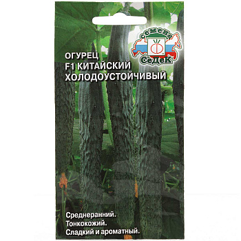 Огурец Китайский холодоустойчивый Седек Ц