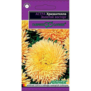 Астра Хризантелла Золотой восторг Гавриш Ц 