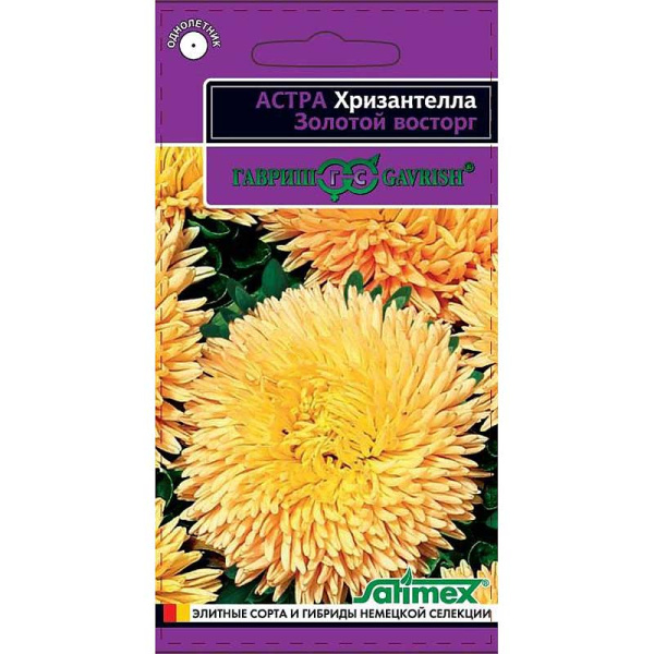 Астра Хризантелла Золотой восторг Гавриш Ц 