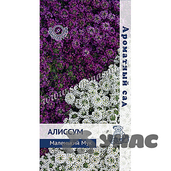 Алиссум Маленький Мук Поиск Ц 