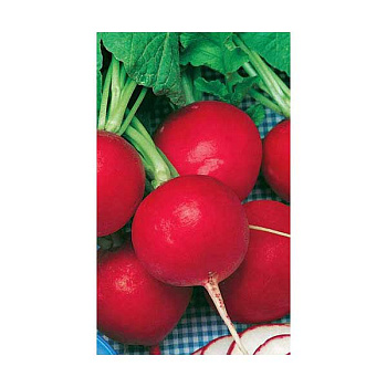 Редис Дуро краснодарское Марс Б