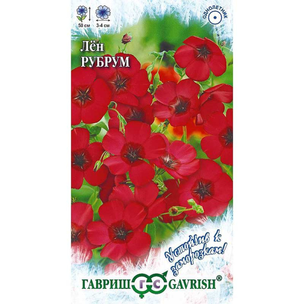 Лен Рубрум Гавриш Ц 
