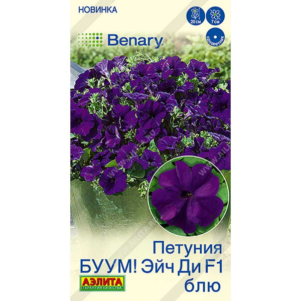 Петуния БУУМ Эйч Ди Блю многоцветковая Аэлита Цх10 