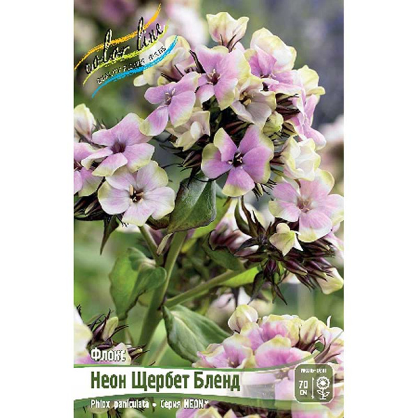 Флокс Neon® Щербет Бленд I 25 шт Биг-Пак 8110