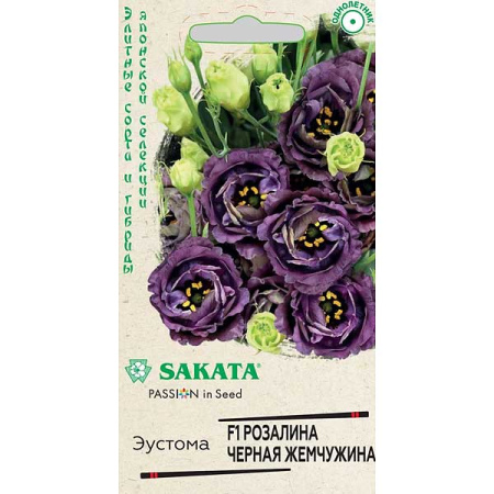 Эустома Розалина Черная жемчужина Гавриш Ц 