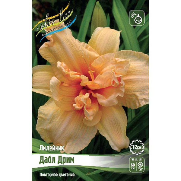 Лилейник Дабл Дрим I 25 шт Биг-пак 8273