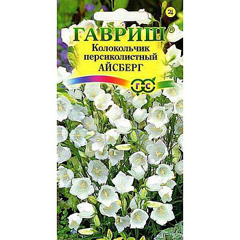 Колокольчик Айсберг белый персиколистный Гавриш Ц 