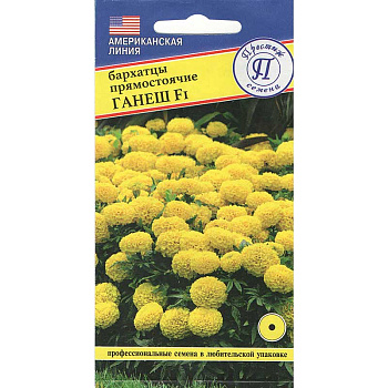 Бархатцы Ганеш Престиж Ц 
