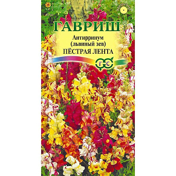 Львиный зев Пестрая лента Гавриш Ц 
