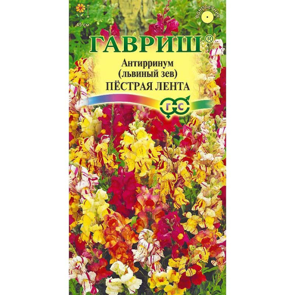 Львиный зев Пестрая лента Гавриш Ц 