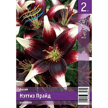 Лилия Нэттиз Прайд 12/14 2 Эконом шт 